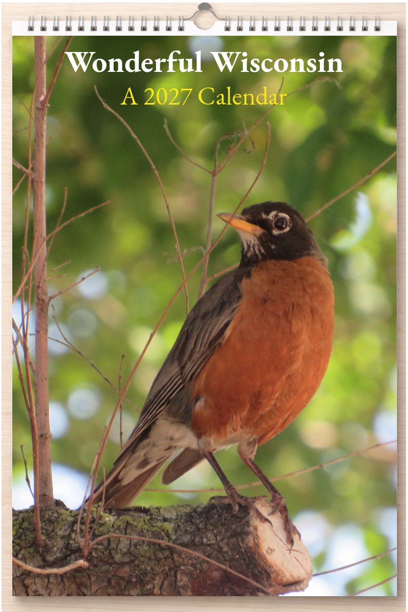 Wonderful Wisconsin: A 2027 Calendar