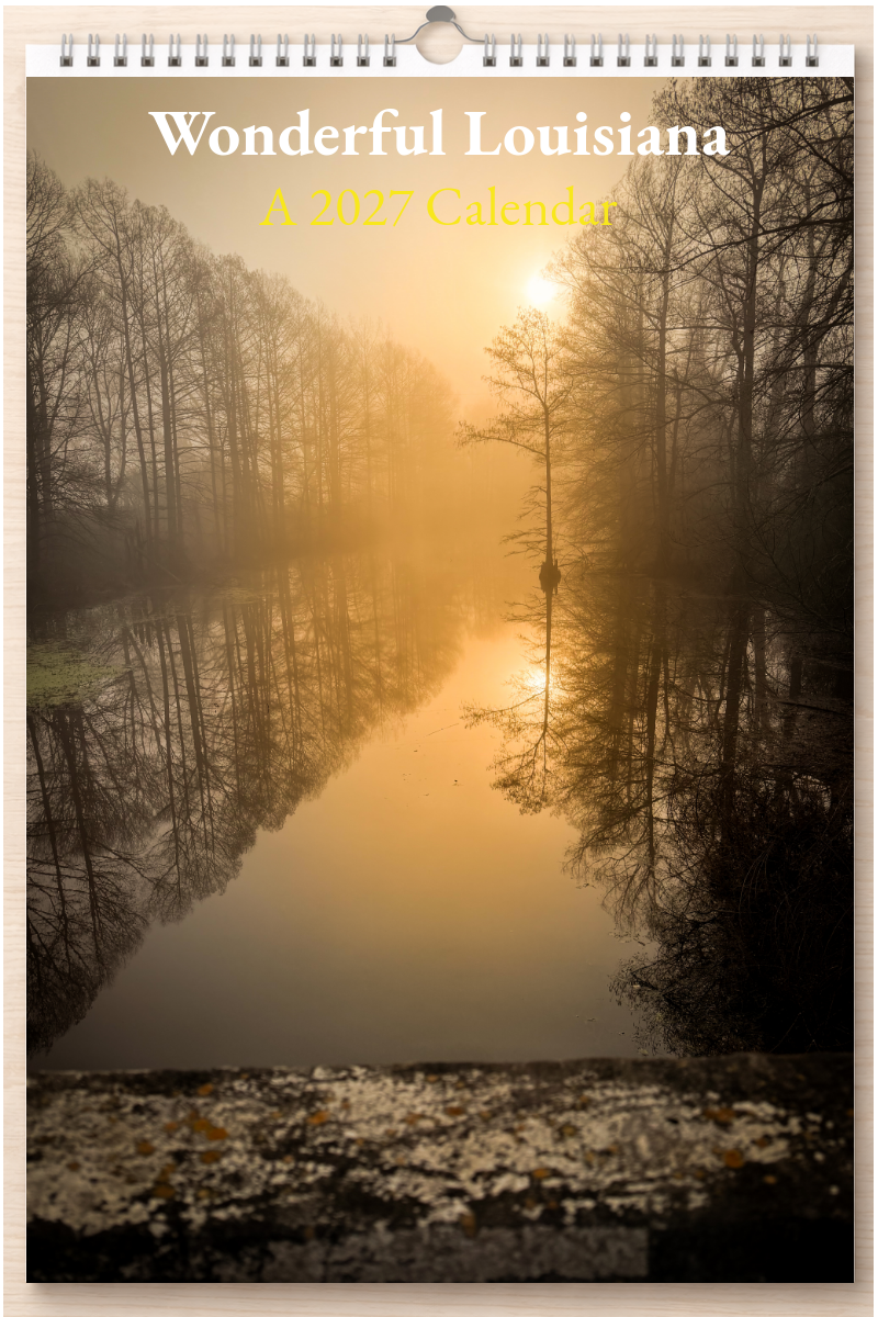 Wonderful Louisiana: A 2027 Calendar