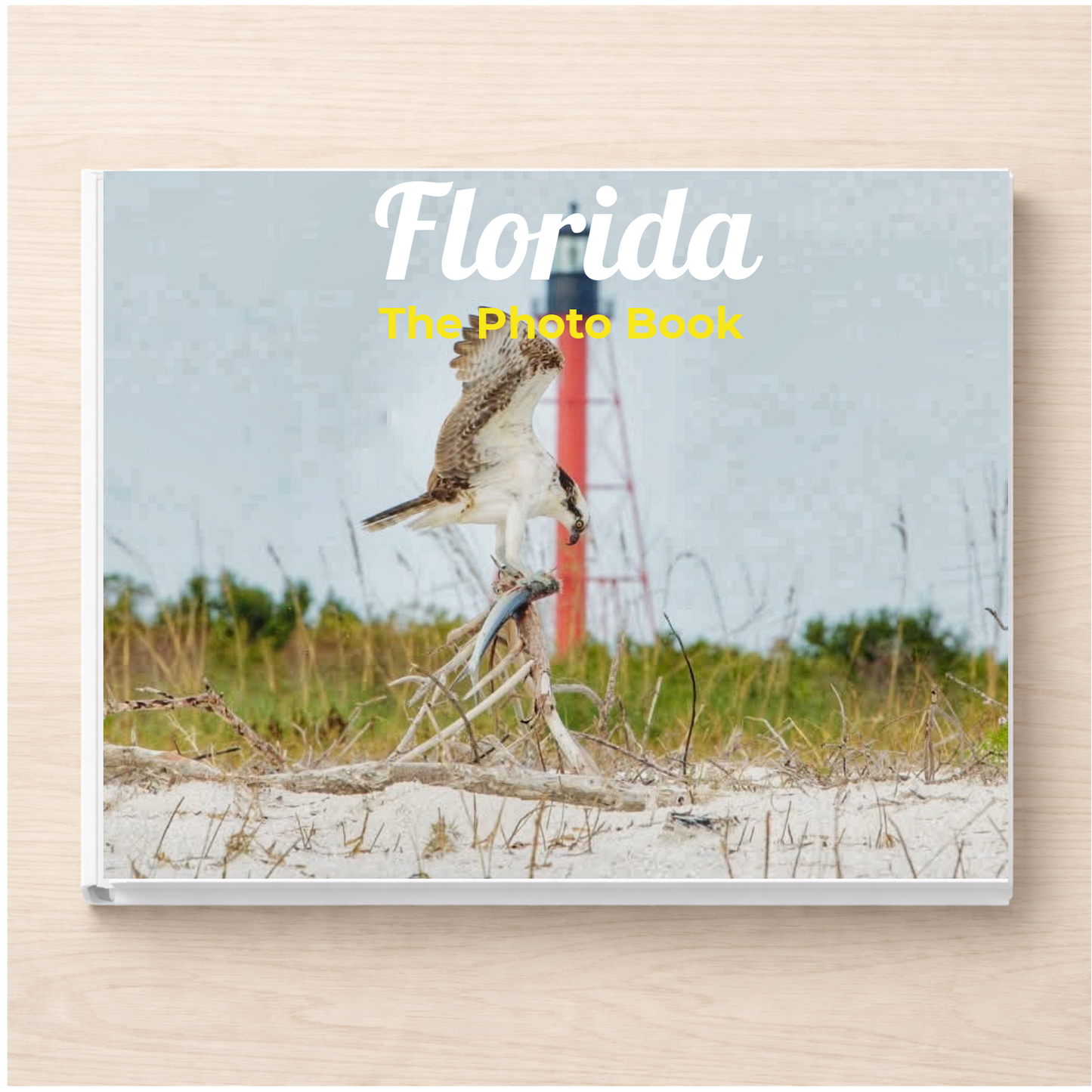 Florida: The Photo Book