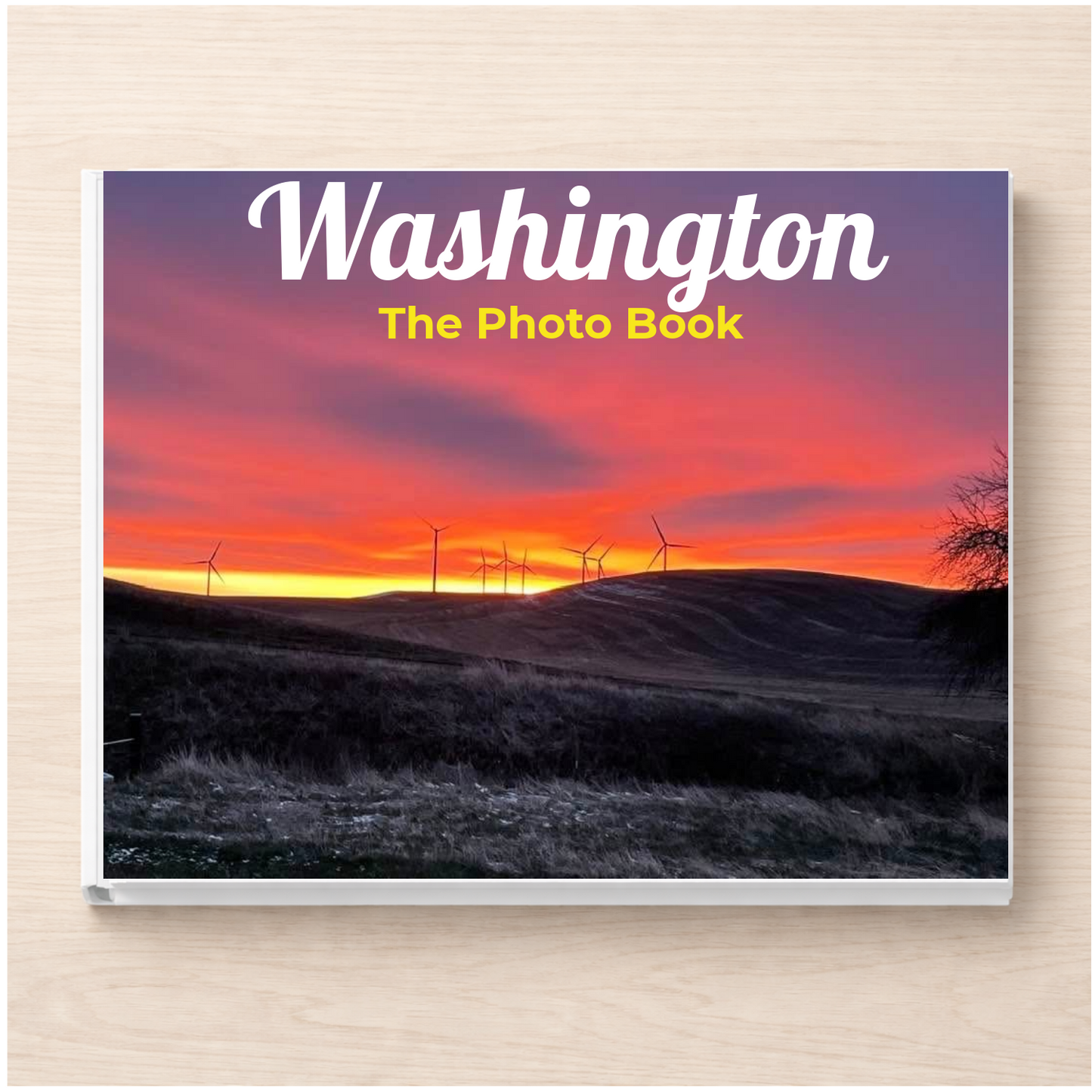 Washington: The Photo Book