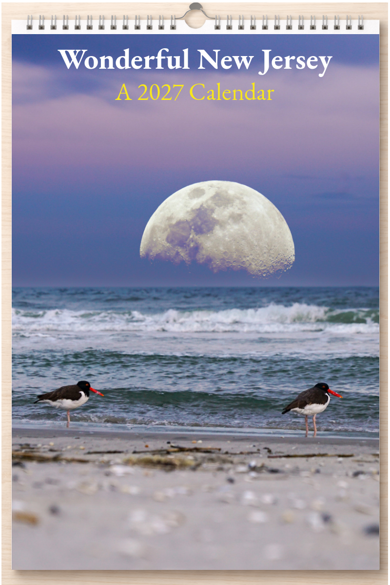 Wonderful New Jersey: A 2027 Calendar