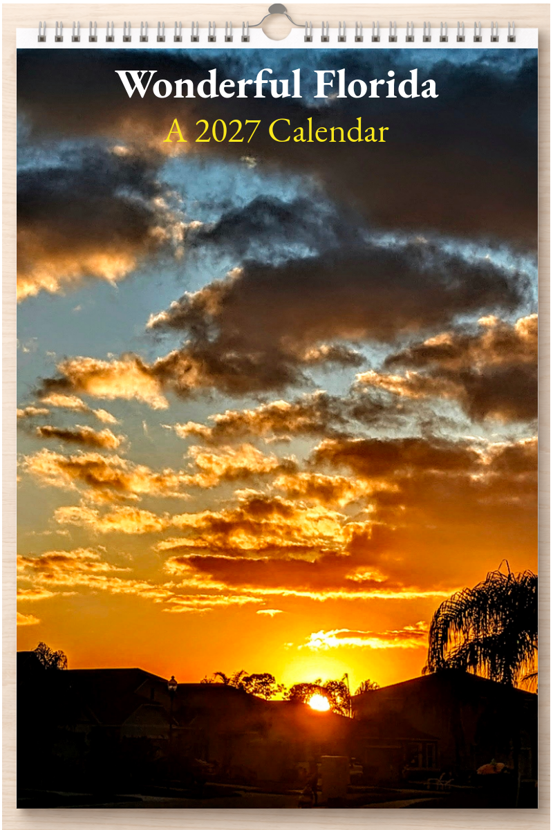 Wonderful Florida: A 2027 Calendar