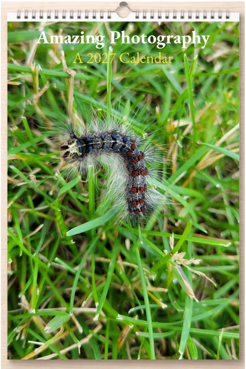 Amazing Photography: A 2027 Calendar