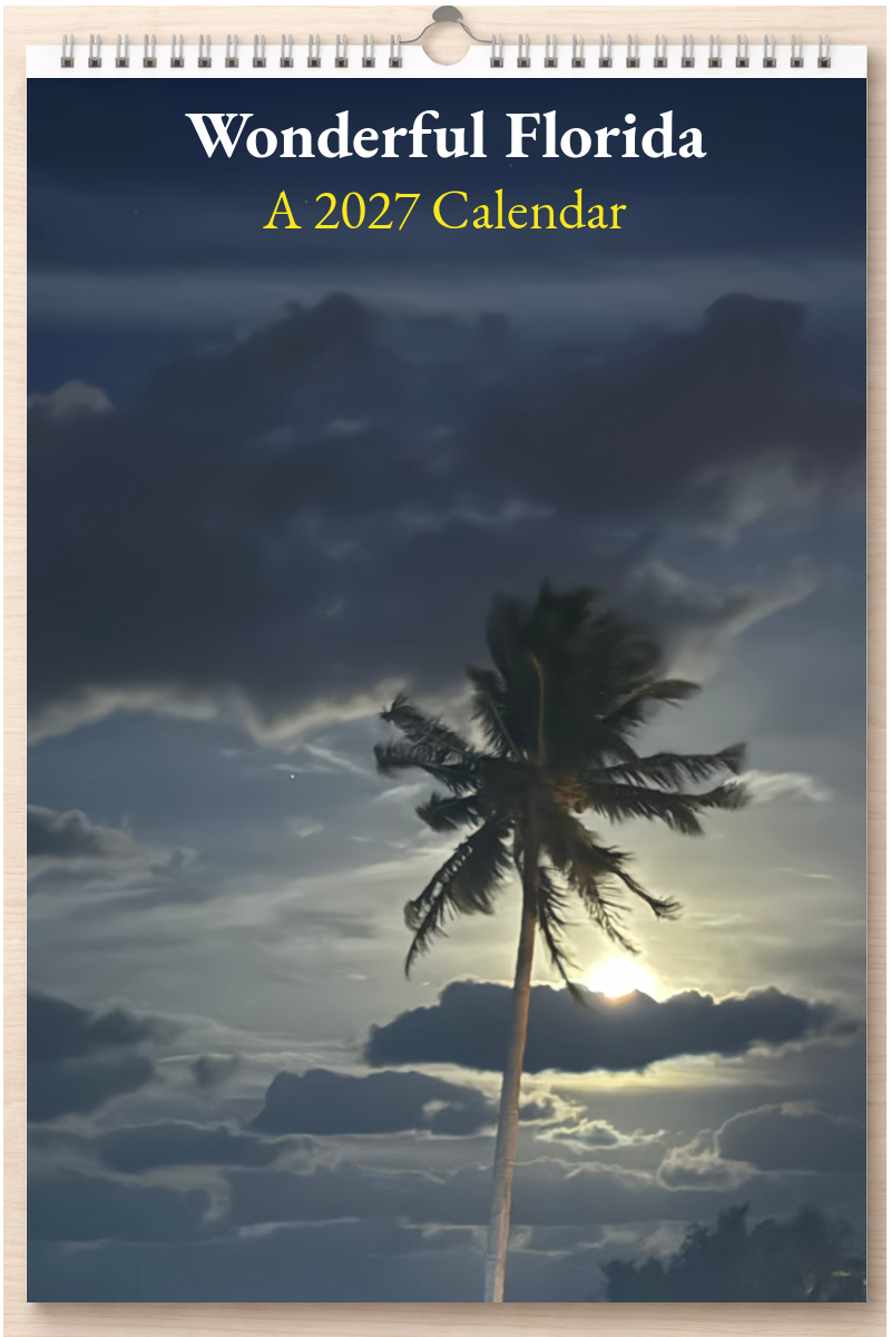 Wonderful Florida: A 2027 Calendar