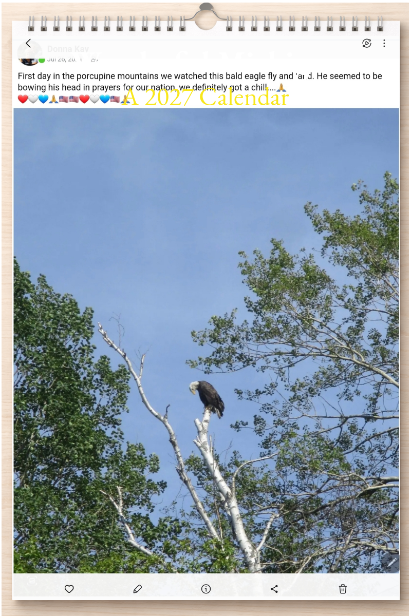Wonderful Michigan: A 2027 Calendar
