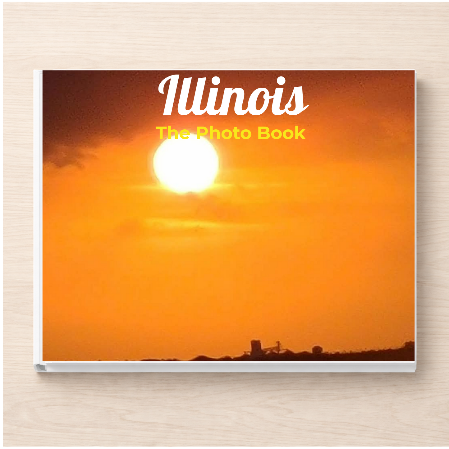 Illinois: The Photo Book