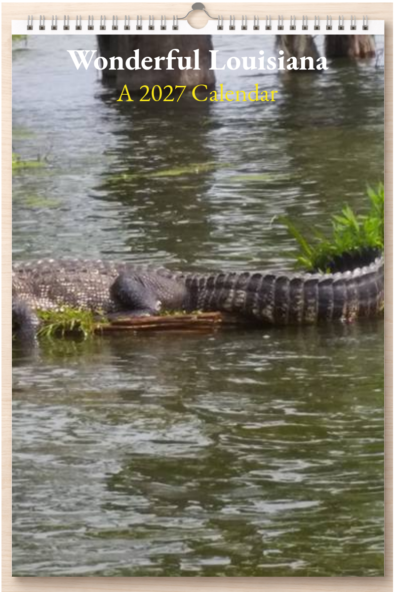 Wonderful Louisiana: A 2027 Calendar