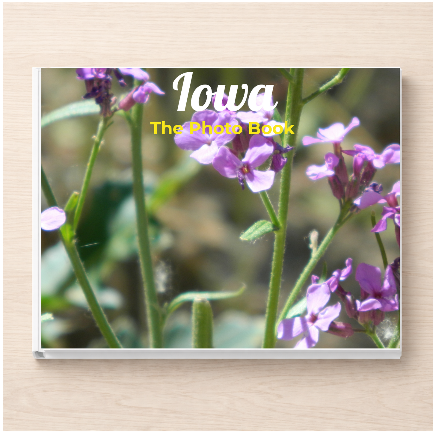 Iowa: The Photo Book