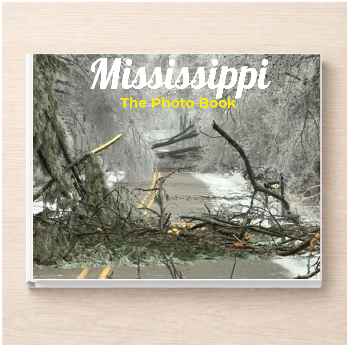 Mississippi: The Photo Book
