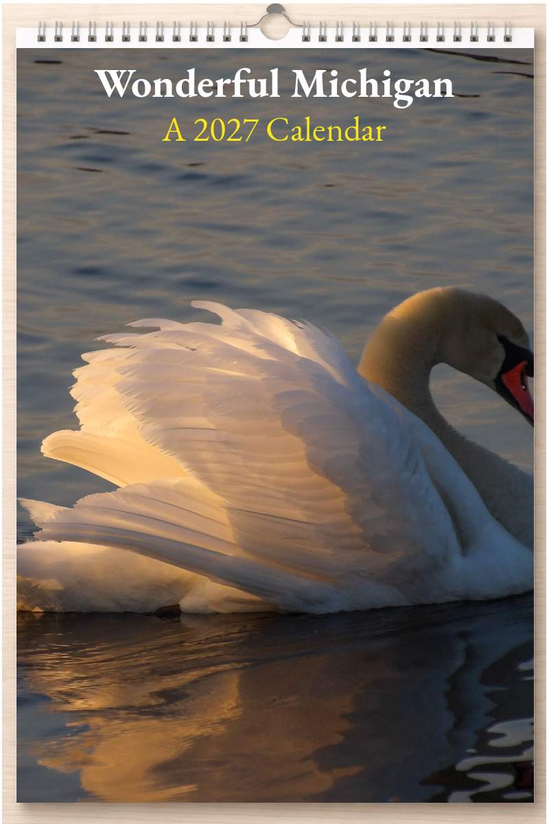 Wonderful Michigan: A 2027 Calendar