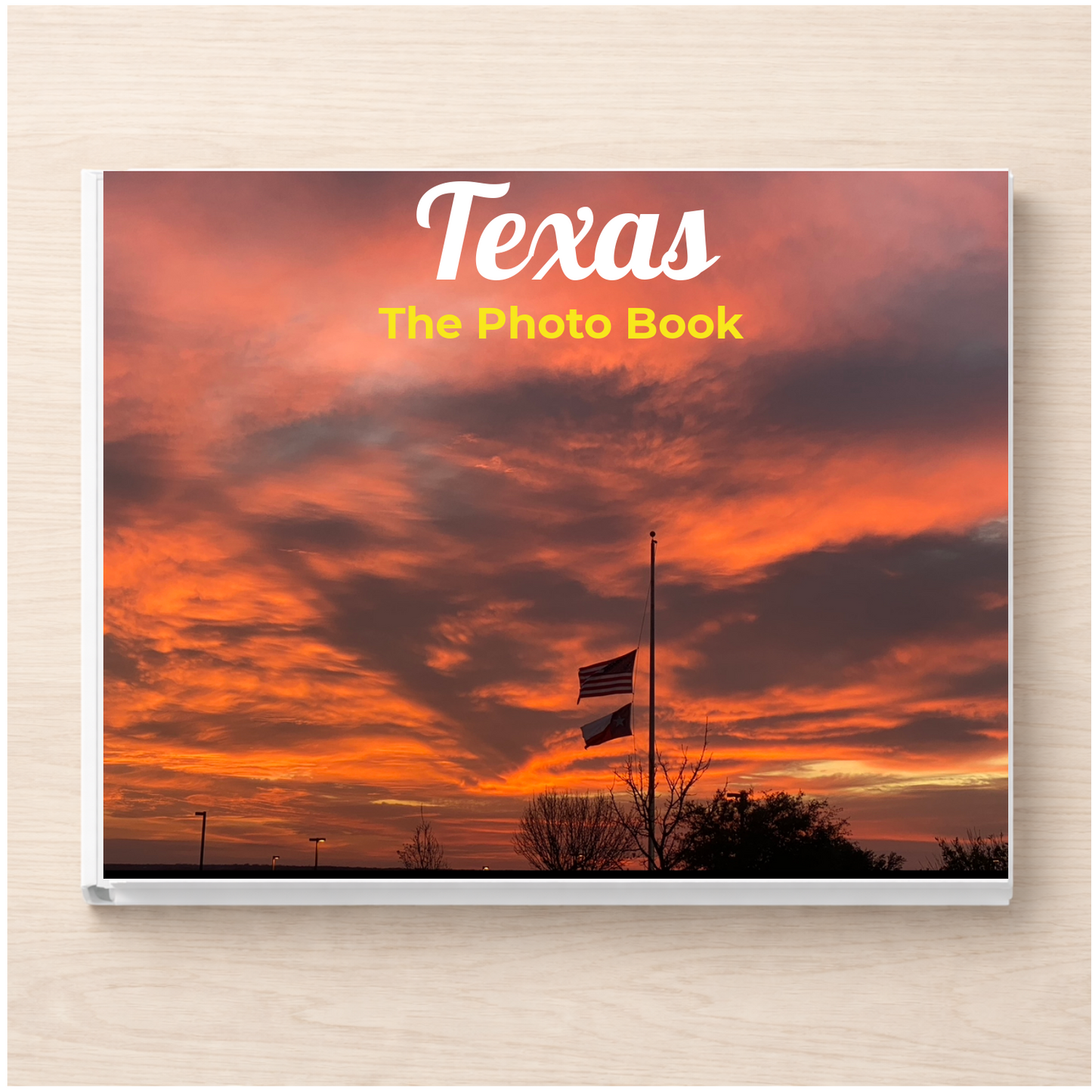 Texas: The Photo Book
