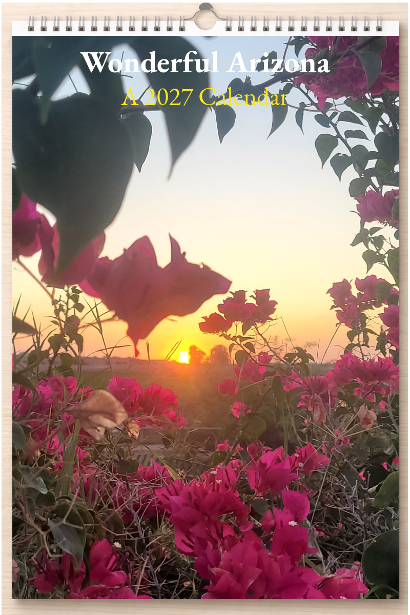 Wonderful Arizona: A 2027 Calendar