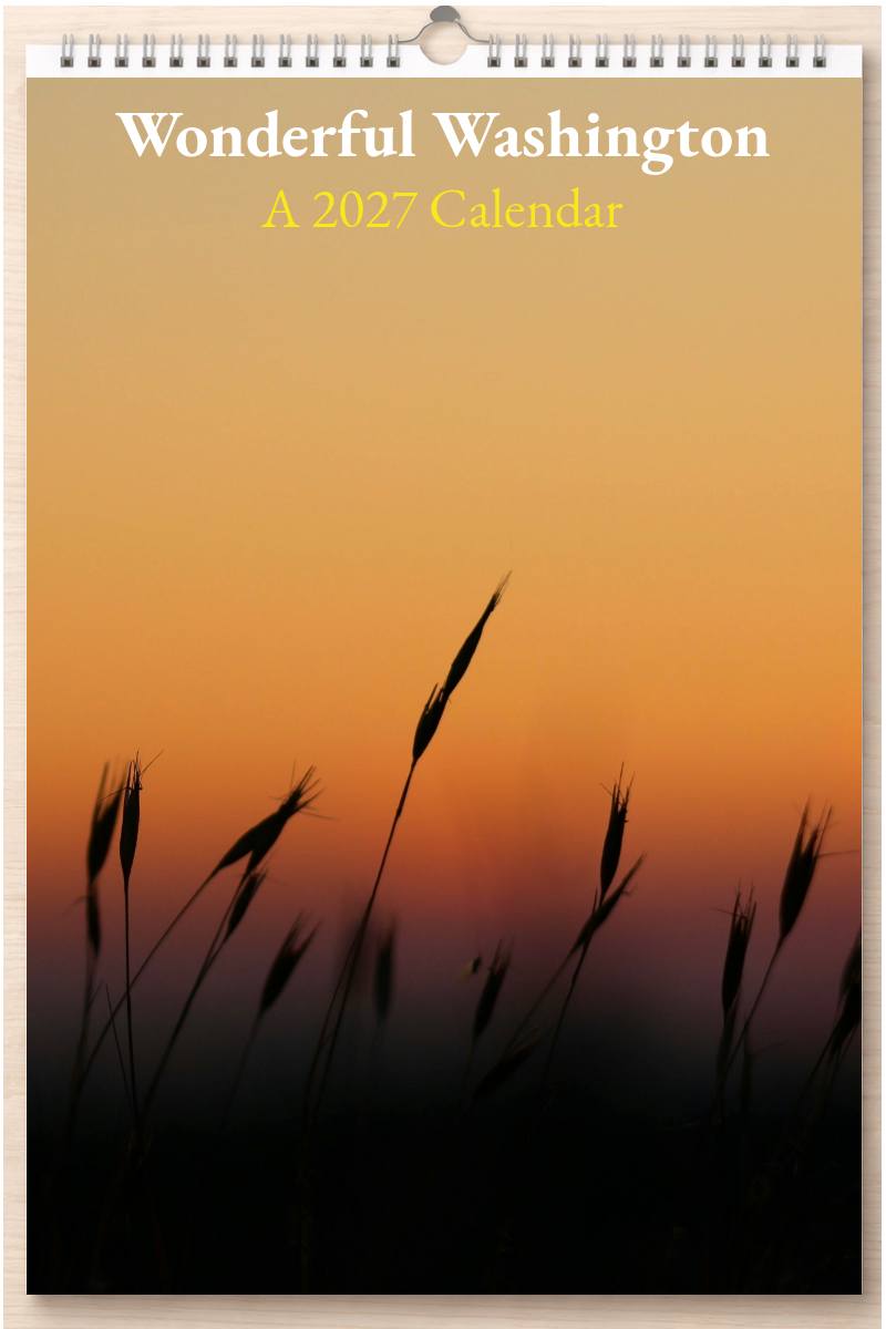 Wonderful Washington: A 2027 Calendar