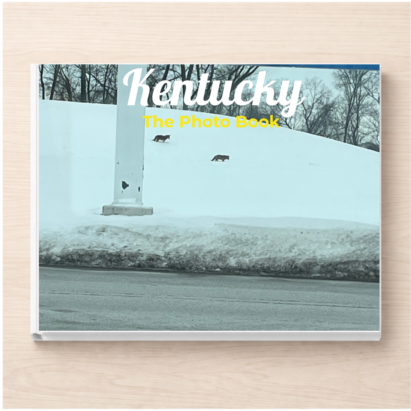 Kentucky: The Photo Book