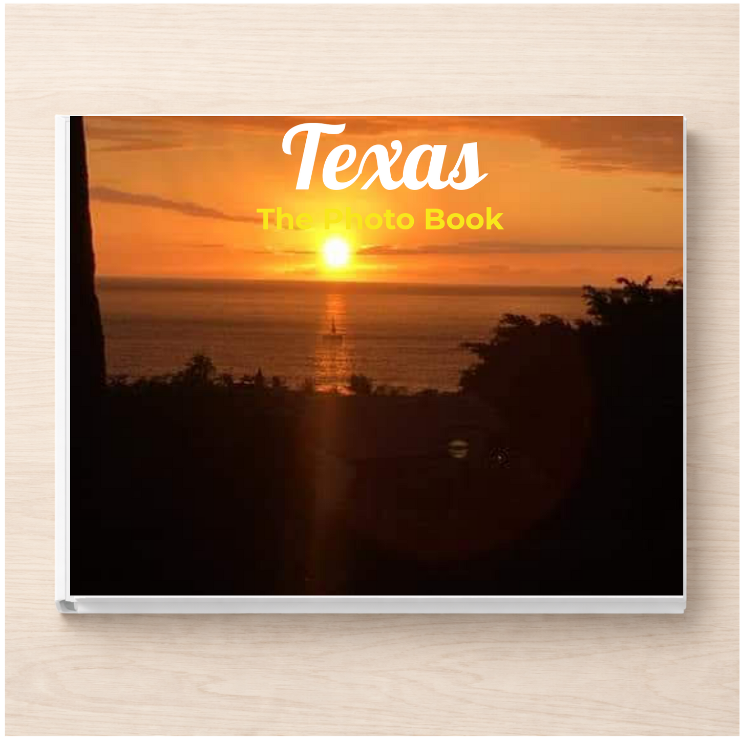 Texas: The Photo Book