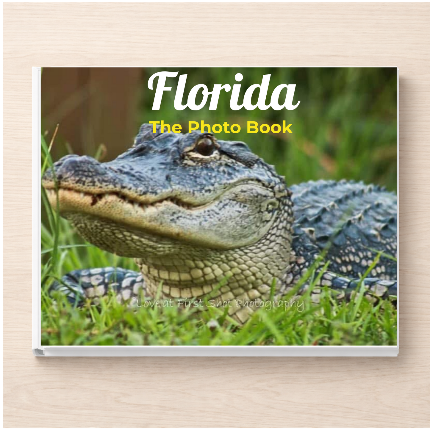 Florida: The Photo Book