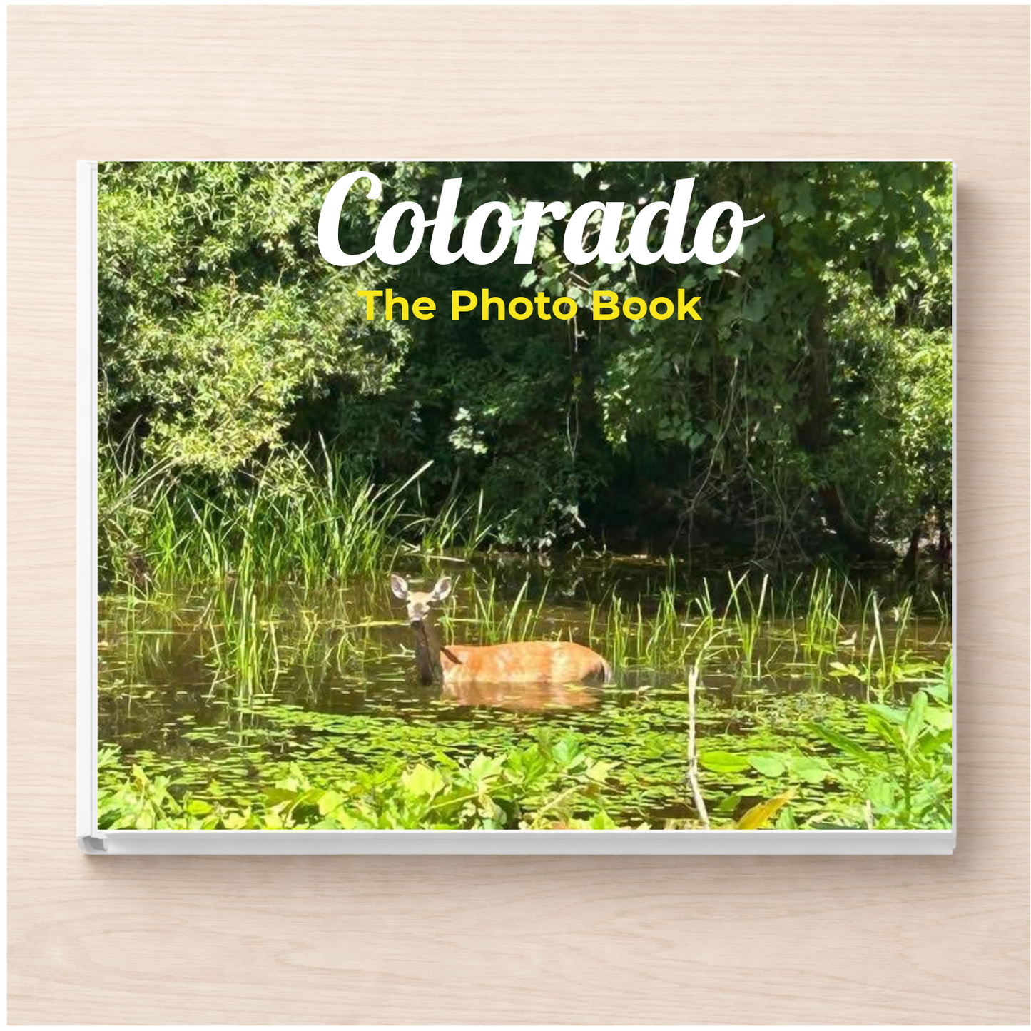 Colorado: The Photo Book