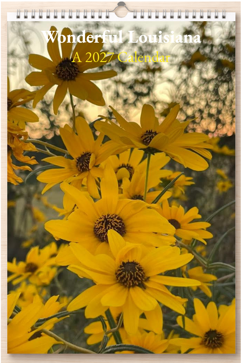 Wonderful Louisiana: A 2027 Calendar