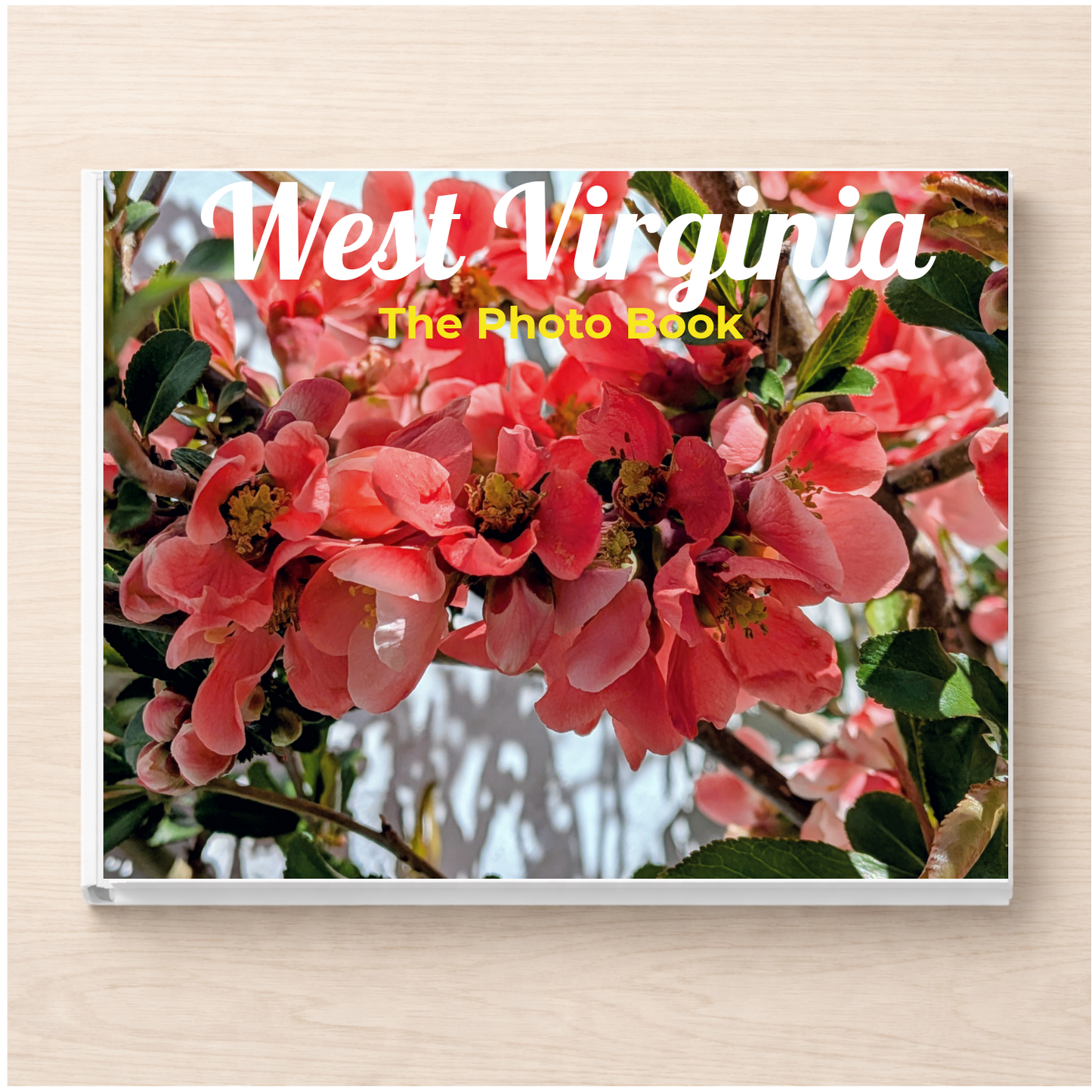 West Virginia: The Photo Book