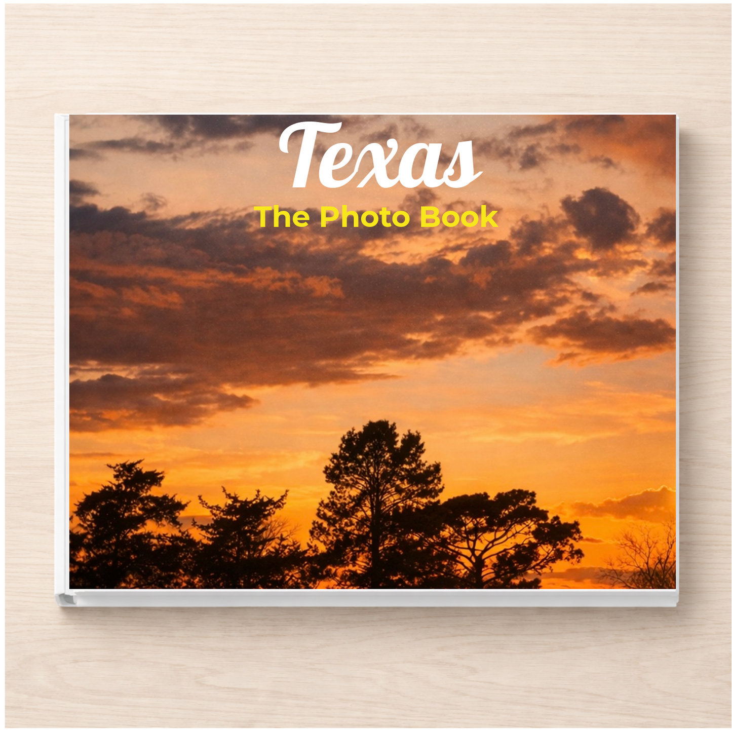 Texas: The Photo Book