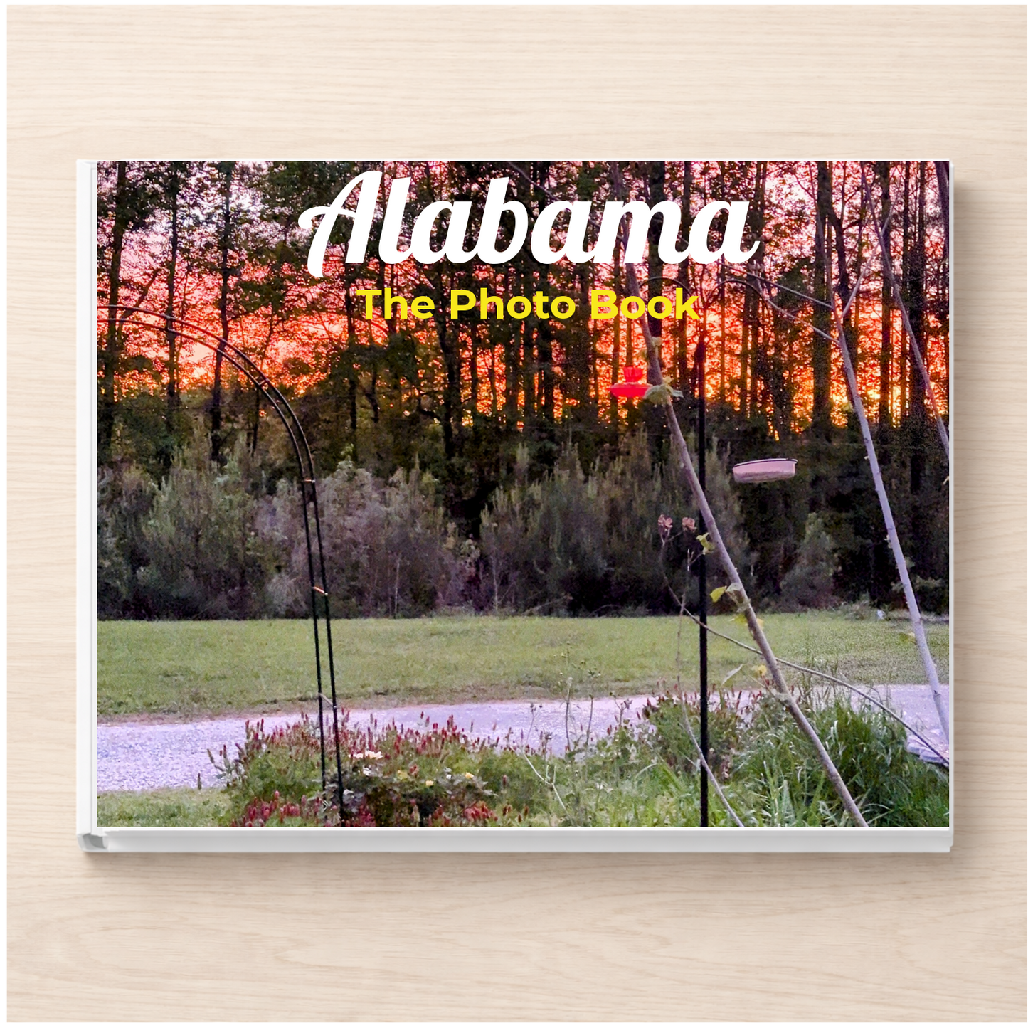 Alabama: The Photo Book