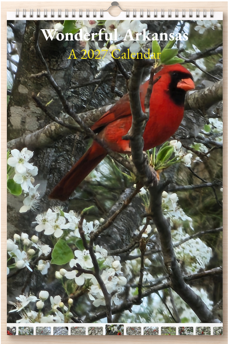 Wonderful Arkansas: A 2027 Calendar