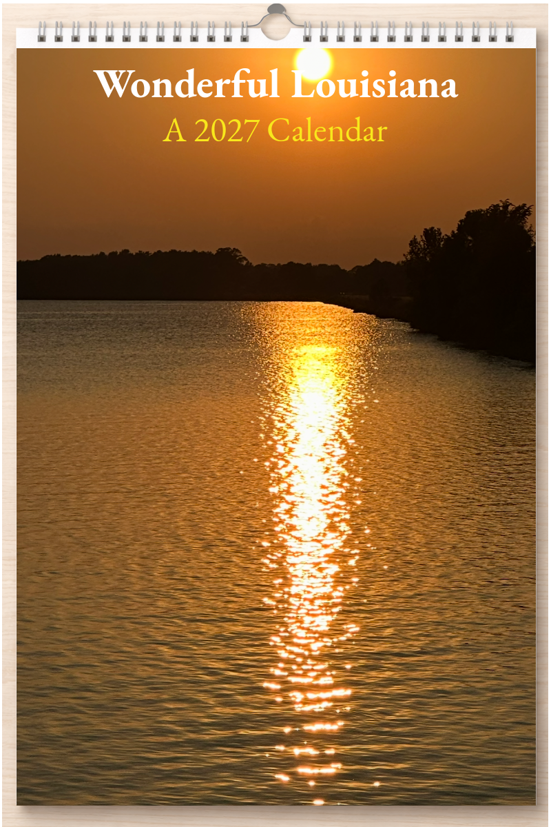 Wonderful Louisiana: A 2027 Calendar