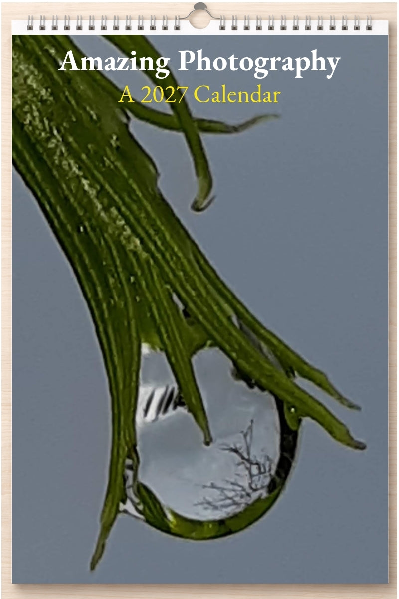 Amazing Photography: A 2027 Calendar
