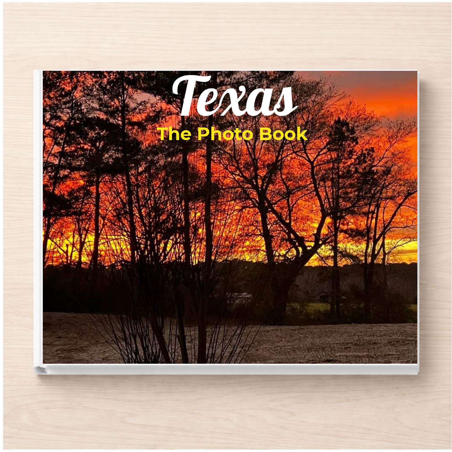 Texas: The Photo Book
