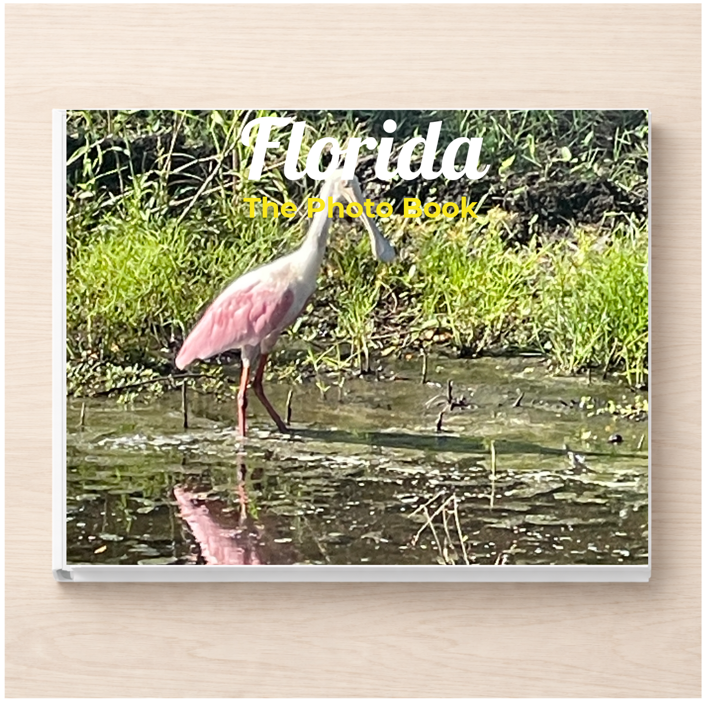 Florida: The Photo Book