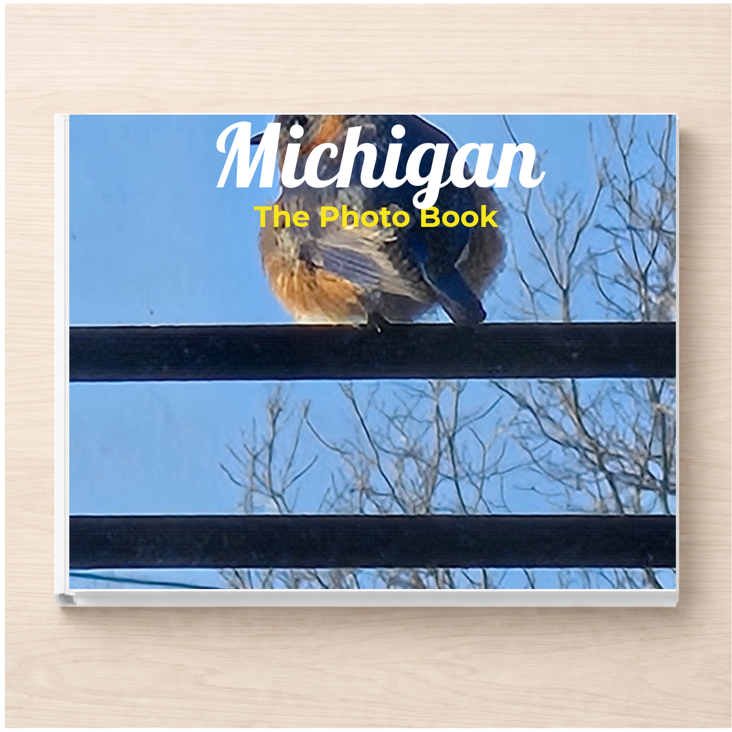 Michigan: The Photo Book