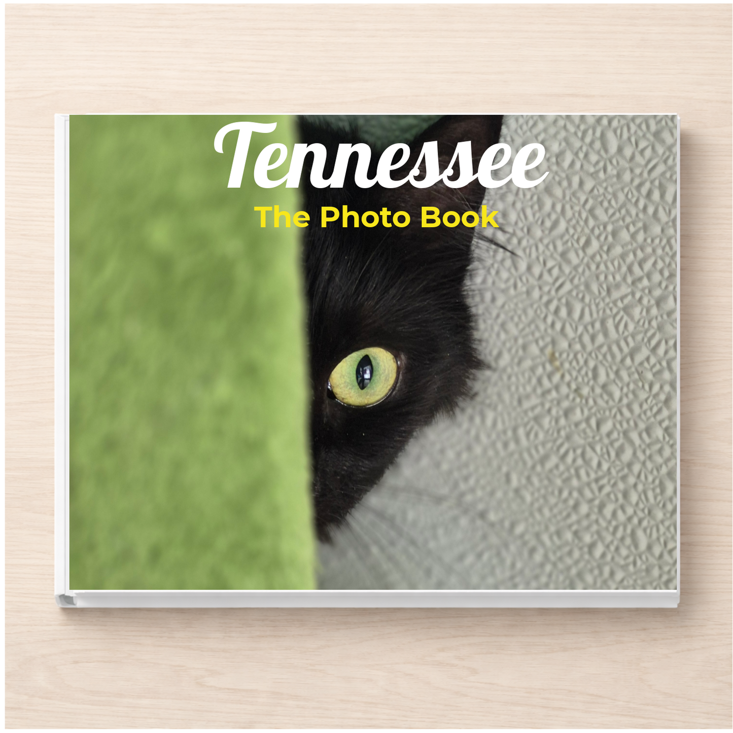 Tennessee: The Photo Book