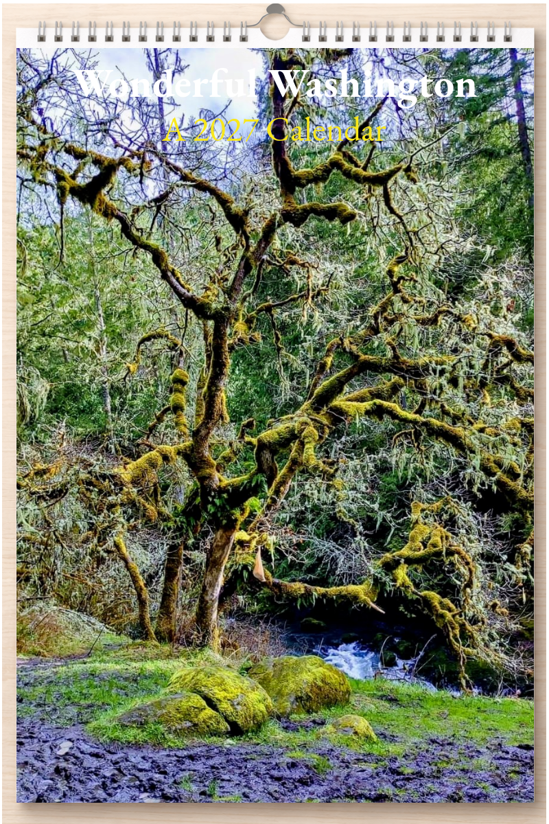 Wonderful Washington: A 2027 Calendar