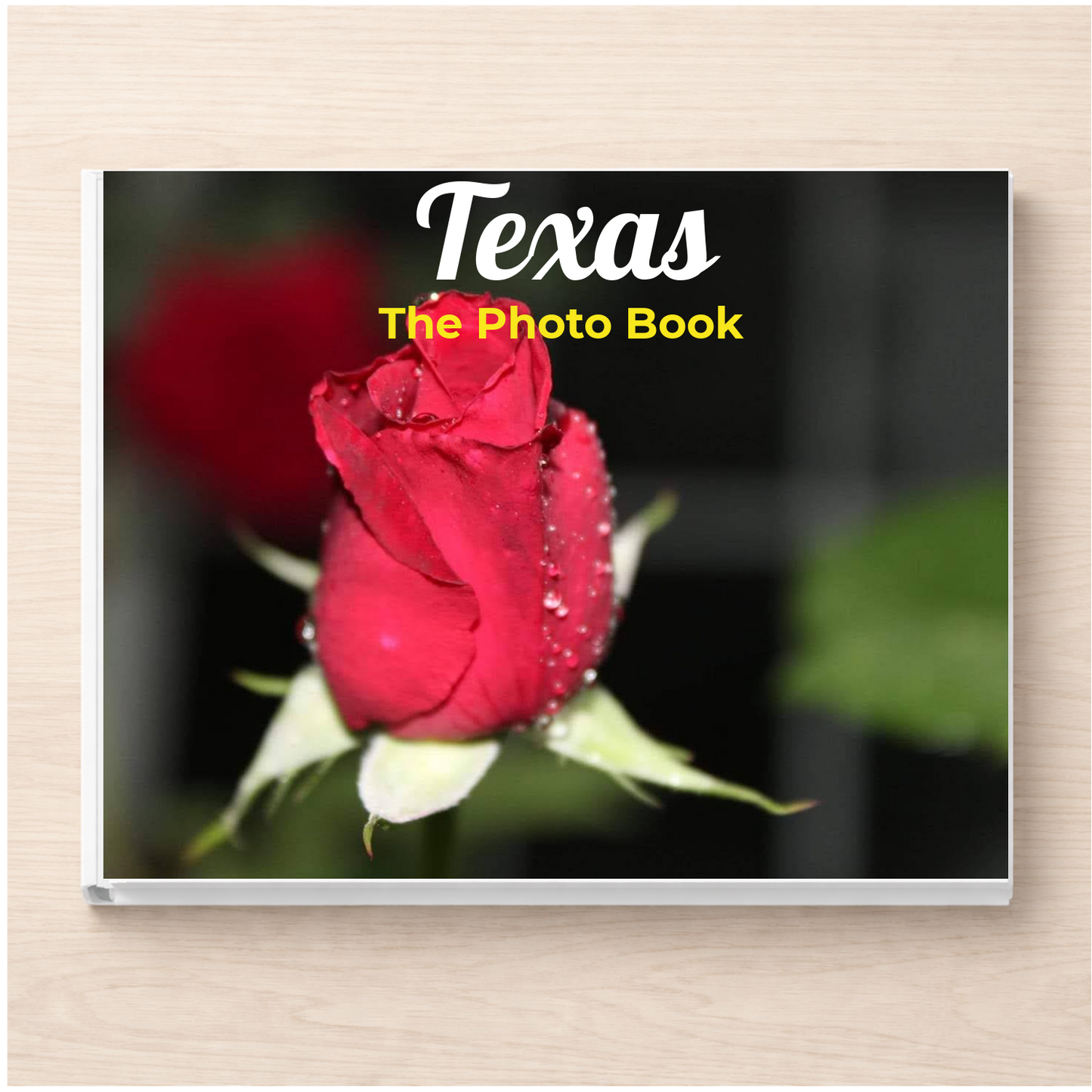 Texas: The Photo Book