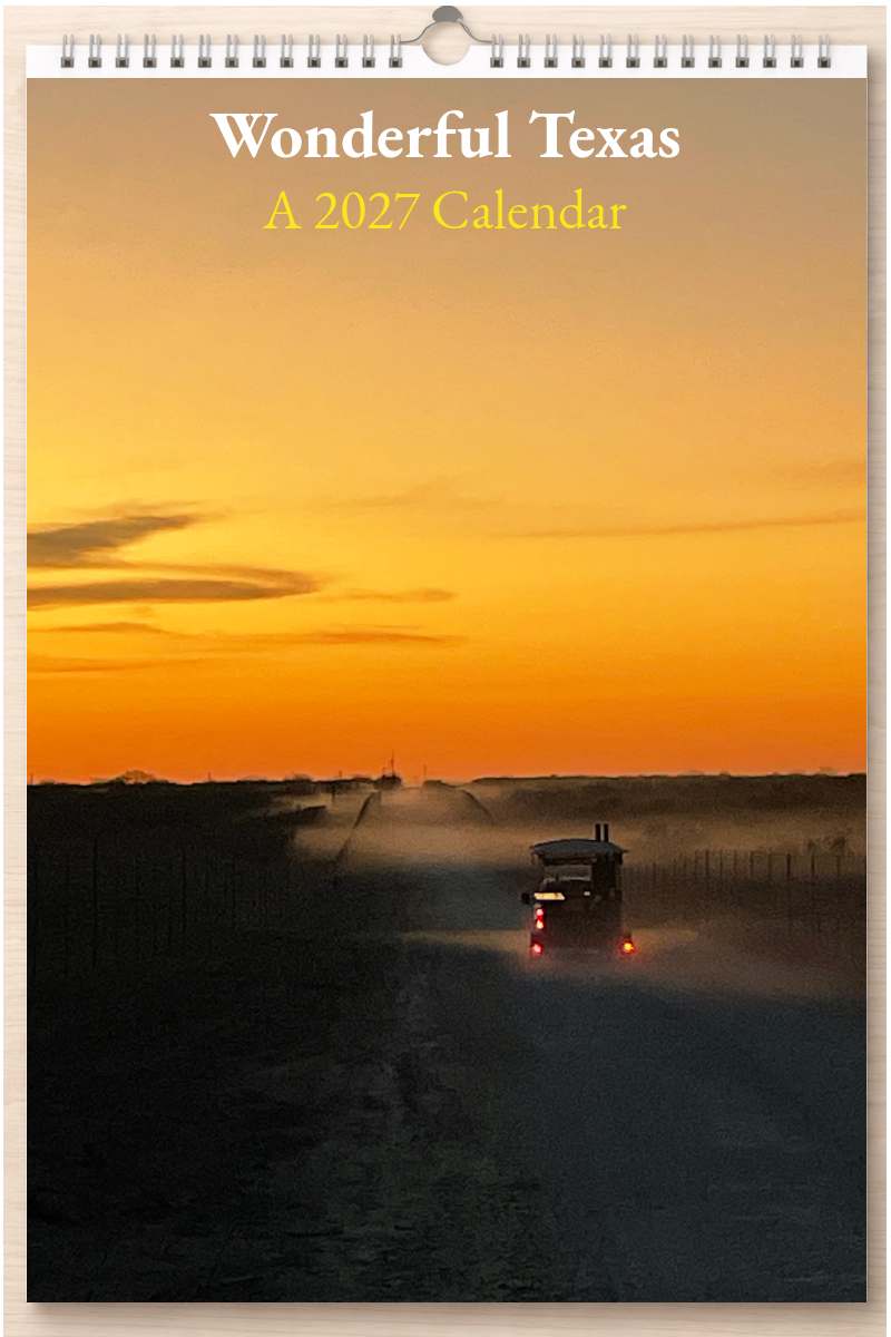Wonderful Texas: A 2027 Calendar