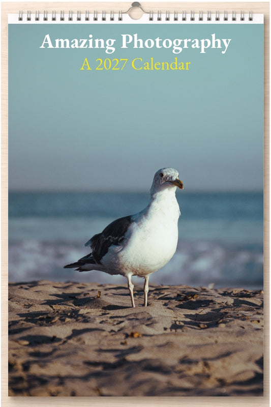 Amazing Photography: A 2027 Calendar