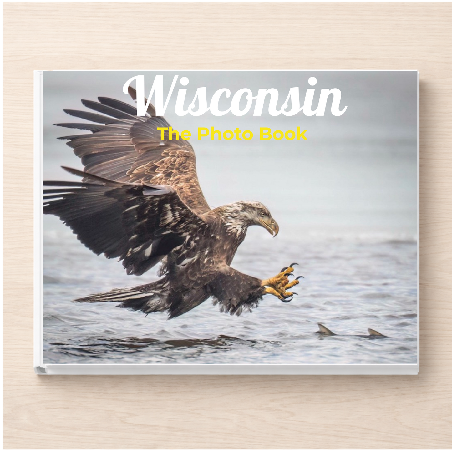 Wisconsin: The Photo Book