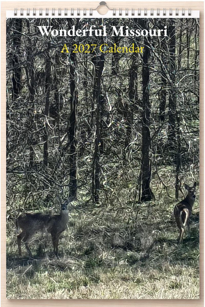 Wonderful Missouri: A 2027 Calendar
