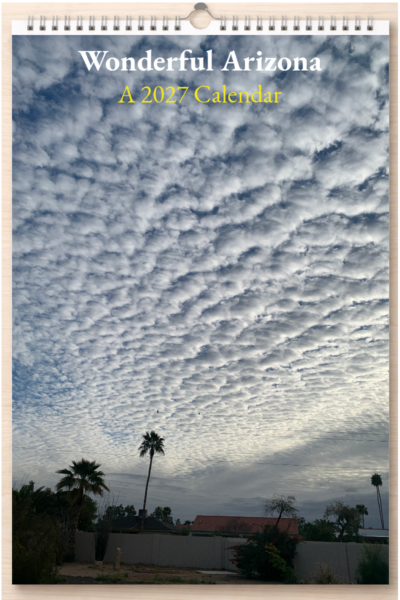Wonderful Arizona: A 2027 Calendar