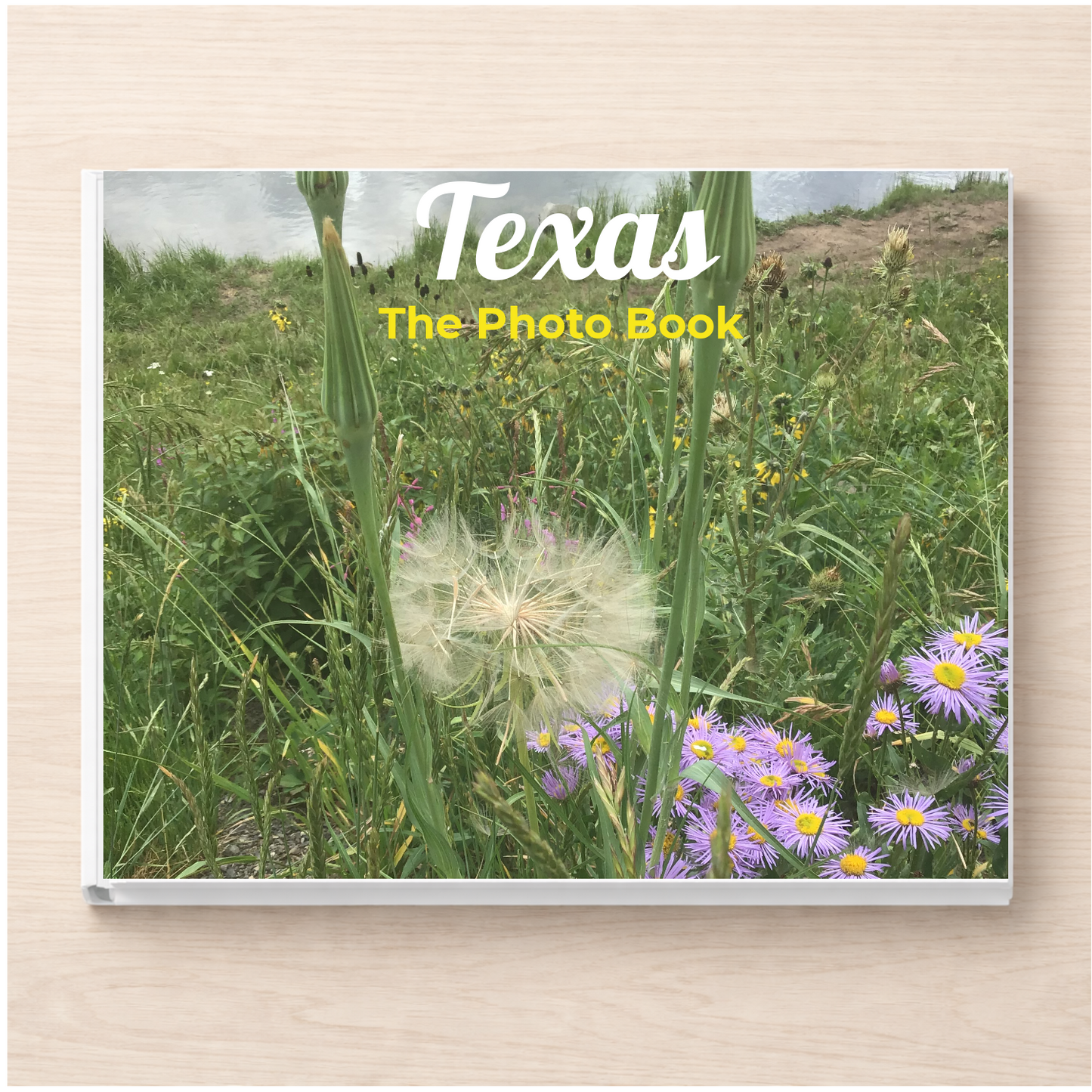 Texas: The Photo Book