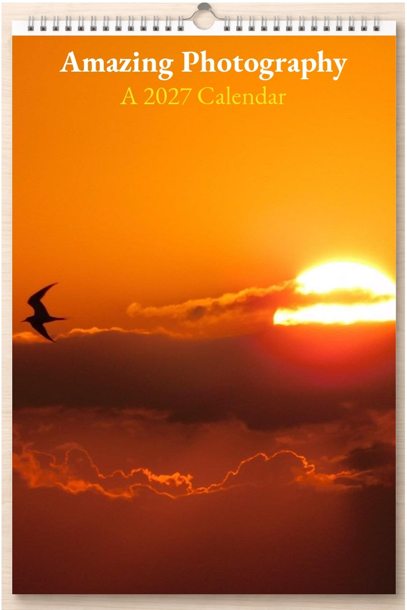 Amazing Photography: A 2027 Calendar