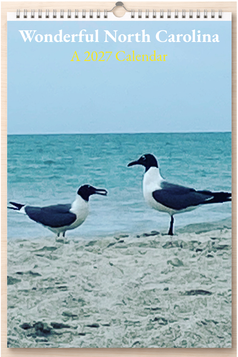Wonderful North Carolina: A 2027 Calendar