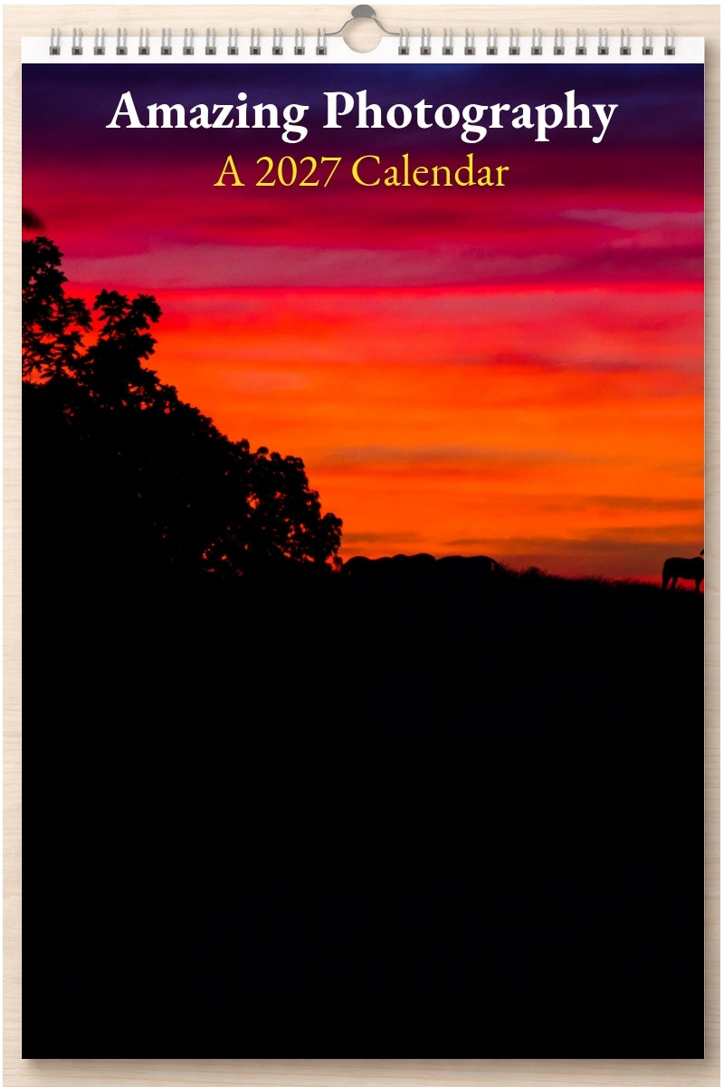 Amazing Photography: A 2027 Calendar