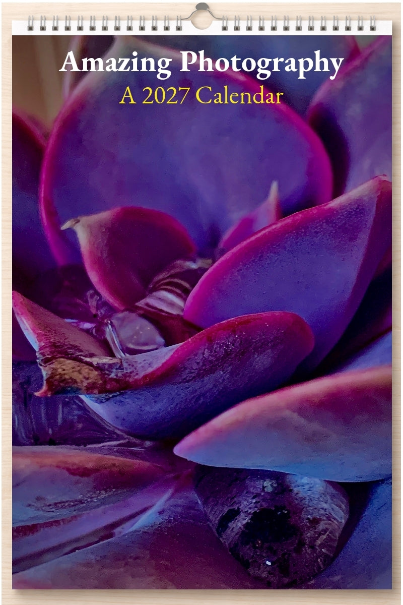 Amazing Photography: A 2027 Calendar