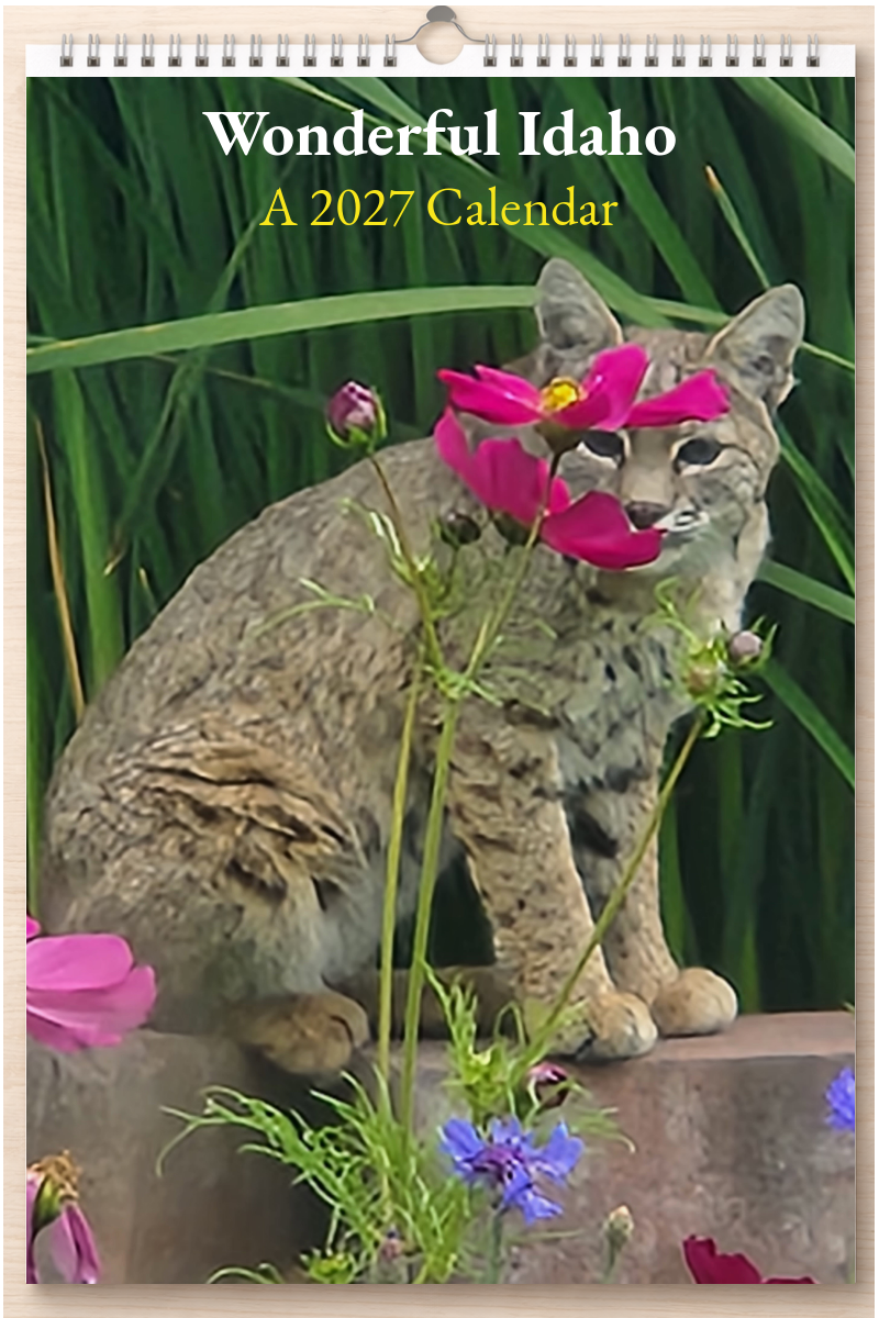 Wonderful Idaho: A 2027 Calendar