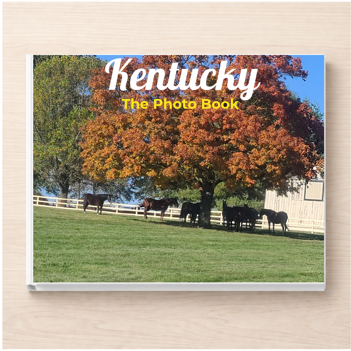 Kentucky: The Photo Book