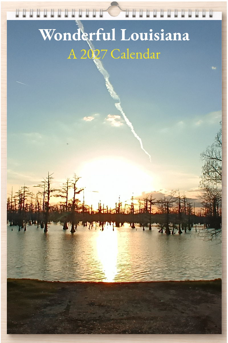 Wonderful Louisiana: A 2027 Calendar