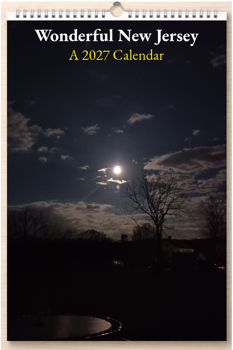 Wonderful New Jersey: A 2027 Calendar