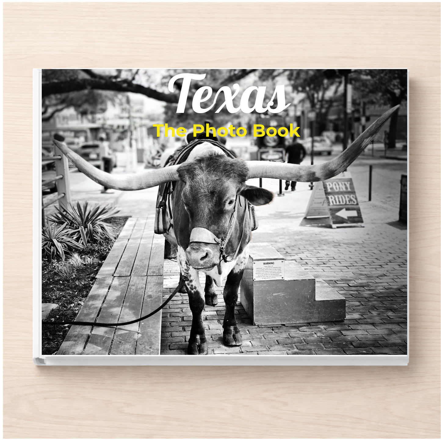 Texas: The Photo Book