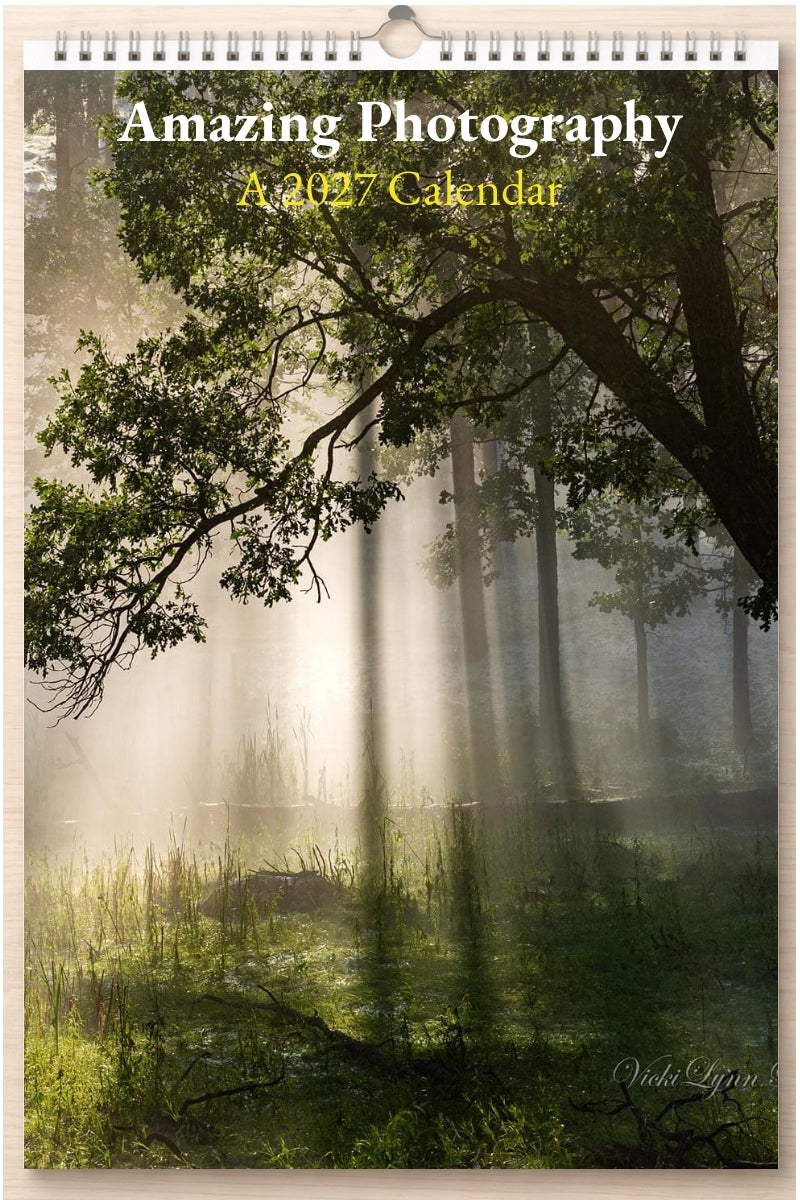 Amazing Photography: A 2027 Calendar